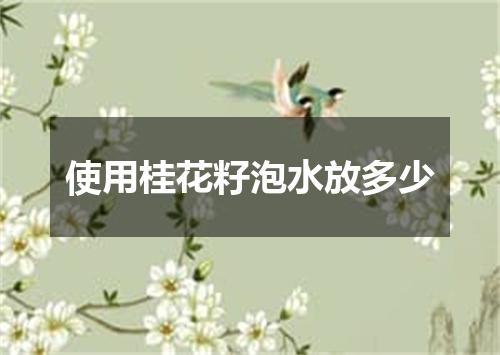 使用桂花籽泡水放多少
