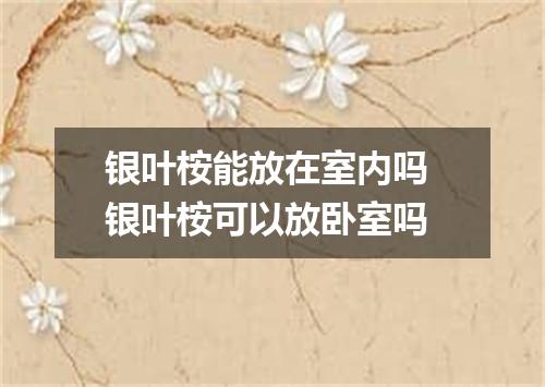 银叶桉能放在室内吗 银叶桉可以放卧室吗