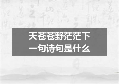 天苍苍野茫茫下一句诗句是什么