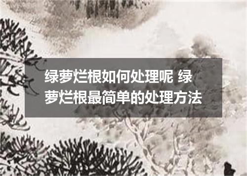 绿萝烂根如何处理呢 绿萝烂根最简单的处理方法