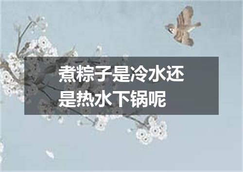煮粽子是冷水还是热水下锅呢