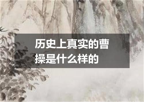 历史上真实的曹操是什么样的