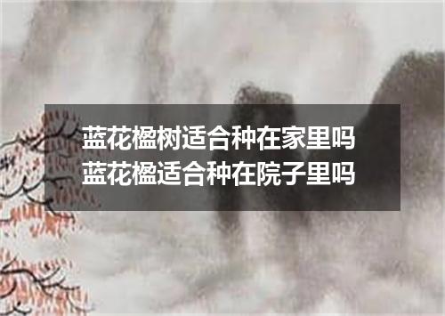 蓝花楹树适合种在家里吗 蓝花楹适合种在院子里吗