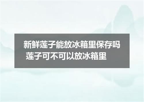 新鲜莲子能放冰箱里保存吗 莲子可不可以放冰箱里