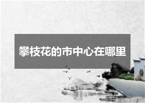 攀枝花的市中心在哪里