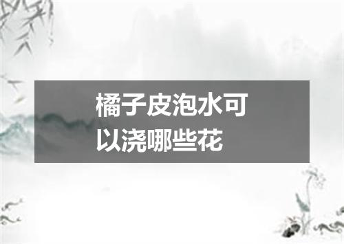 橘子皮泡水可以浇哪些花