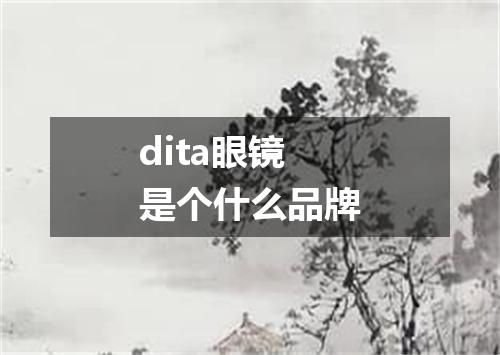 dita眼镜是个什么品牌
