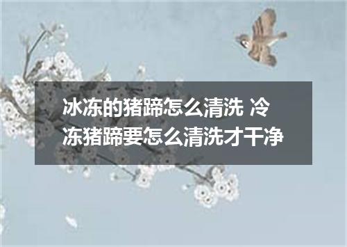 冰冻的猪蹄怎么清洗 冷冻猪蹄要怎么清洗才干净