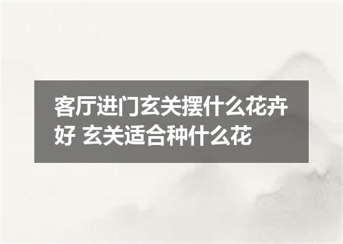 客厅进门玄关摆什么花卉好 玄关适合种什么花