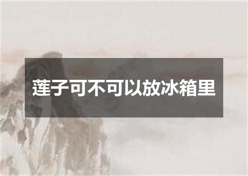 莲子可不可以放冰箱里