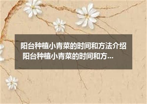 阳台种植小青菜的时间和方法介绍 阳台种植小青菜的时间和方法