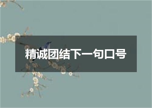 精诚团结下一句口号