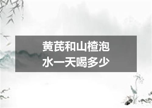 黄芪和山楂泡水一天喝多少