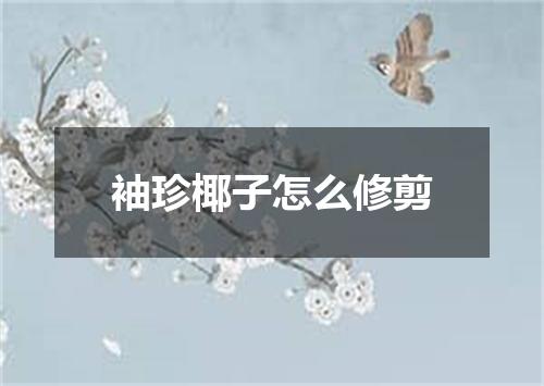 袖珍椰子怎么修剪