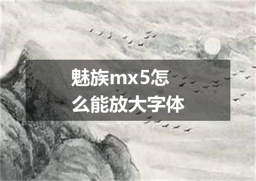 魅族mx5怎么能放大字体