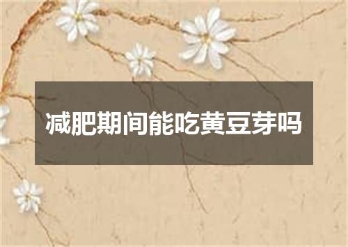 减肥期间能吃黄豆芽吗