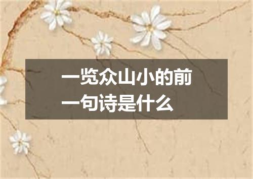 一览众山小的前一句诗是什么