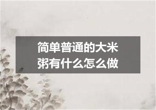 简单普通的大米粥有什么怎么做
