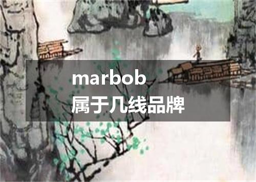 marbob属于几线品牌