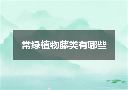 常绿植物藤类有哪些