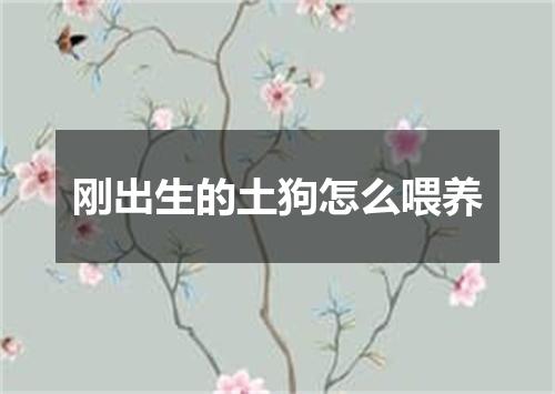 刚出生的土狗怎么喂养