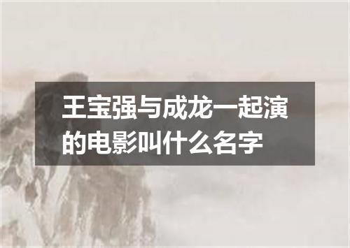 王宝强与成龙一起演的电影叫什么名字
