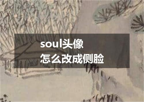 soul头像怎么改成侧脸