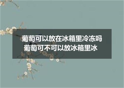 葡萄可以放在冰箱里冷冻吗 葡萄可不可以放冰箱里冰