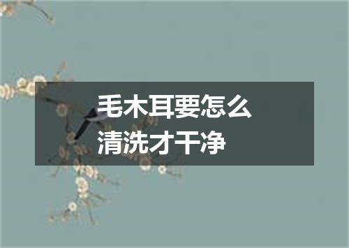 毛木耳要怎么清洗才干净