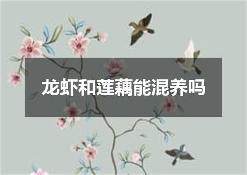 龙虾和莲藕能混养吗