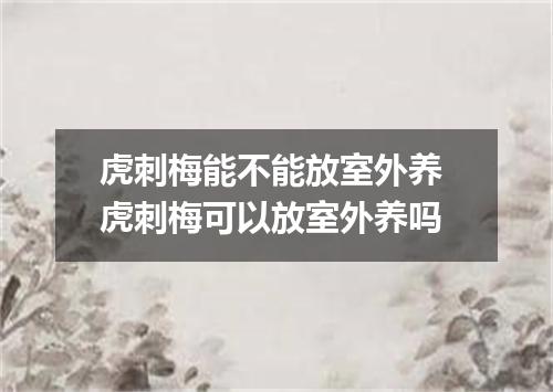 虎刺梅能不能放室外养 虎刺梅可以放室外养吗
