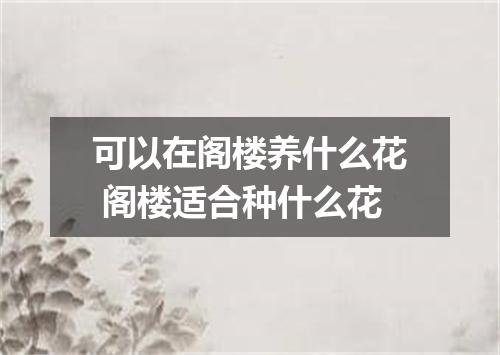 可以在阁楼养什么花 阁楼适合种什么花