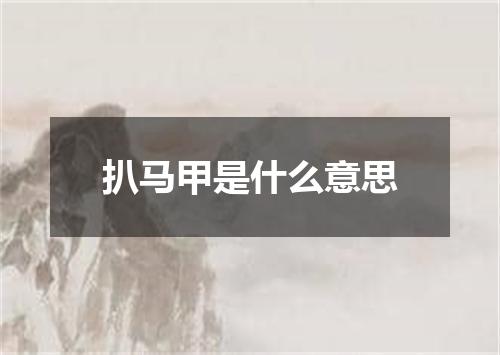 扒马甲是什么意思