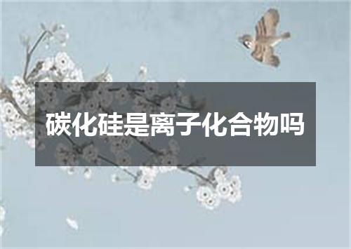 碳化硅是离子化合物吗