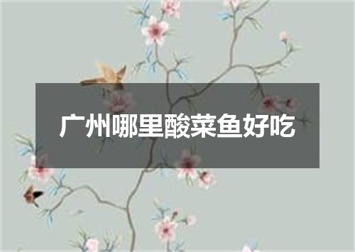 广州哪里酸菜鱼好吃