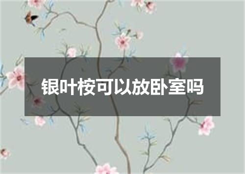 银叶桉可以放卧室吗