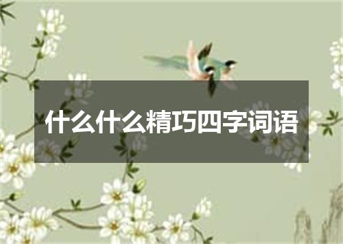 什么什么精巧四字词语