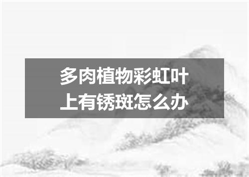 多肉植物彩虹叶上有锈斑怎么办
