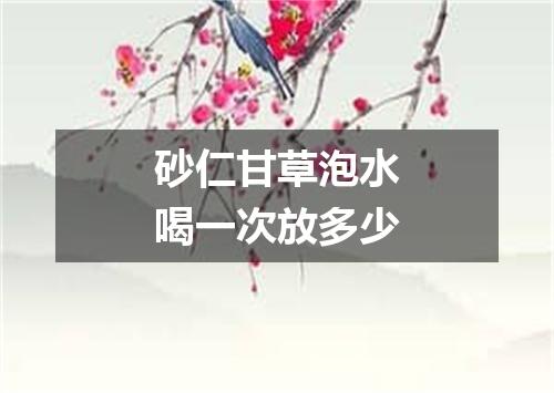 砂仁甘草泡水喝一次放多少