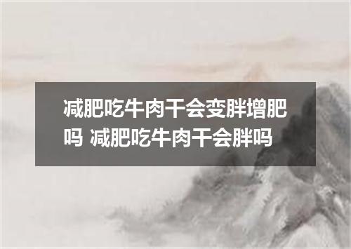减肥吃牛肉干会变胖增肥吗 减肥吃牛肉干会胖吗