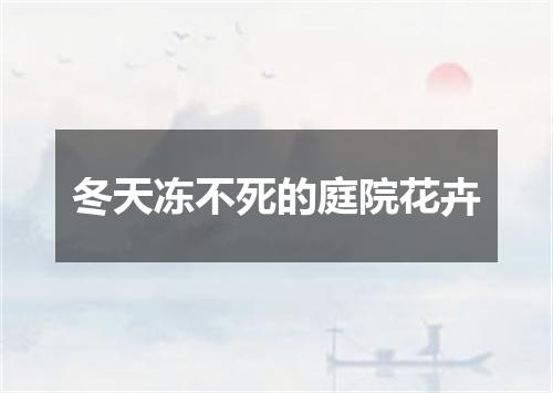 冬天冻不死的庭院花卉
