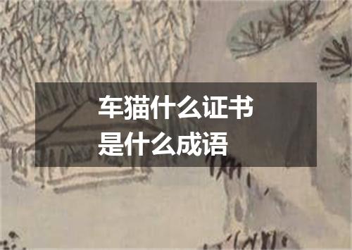 车猫什么证书是什么成语