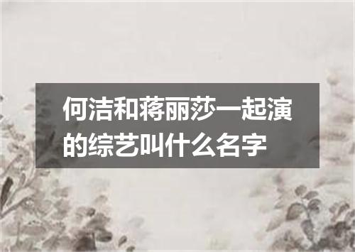 何洁和蒋丽莎一起演的综艺叫什么名字