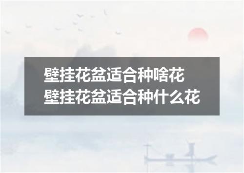 壁挂花盆适合种啥花 壁挂花盆适合种什么花
