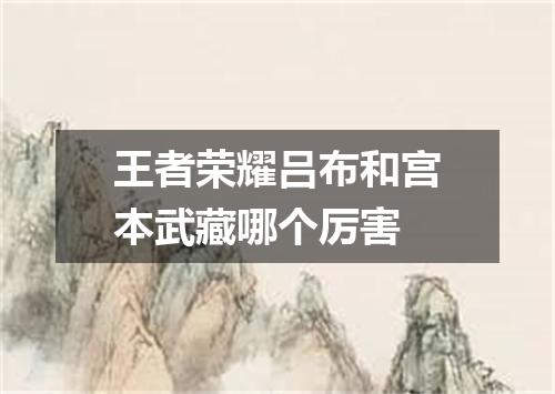王者荣耀吕布和宫本武藏哪个厉害