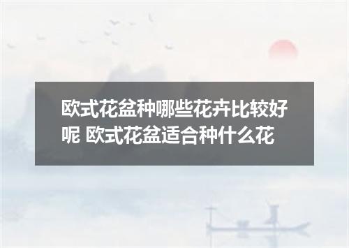 欧式花盆种哪些花卉比较好呢 欧式花盆适合种什么花