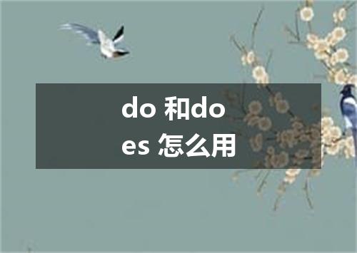 do 和does 怎么用
