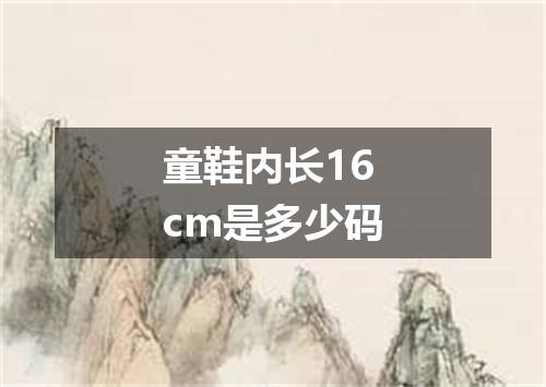 童鞋内长16cm是多少码