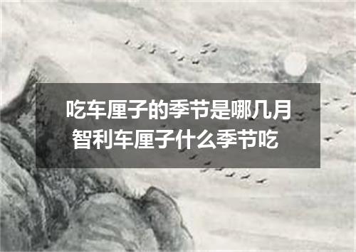 吃车厘子的季节是哪几月 智利车厘子什么季节吃