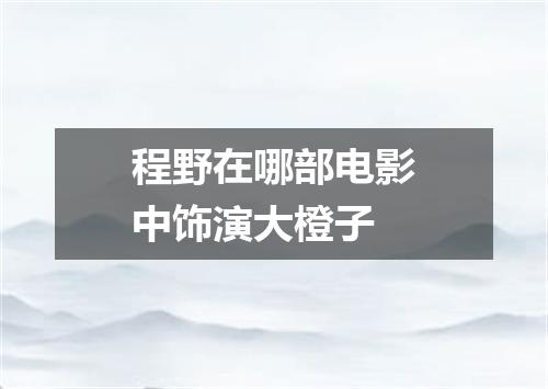 程野在哪部电影中饰演大橙子